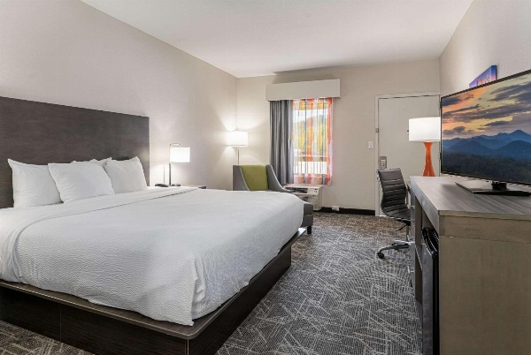 Quality Inn Asheville Downtown Tunnel Rd image 6